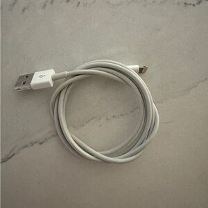 Apple USB to Lightning 1 Foot Cable